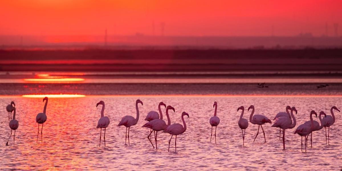 Vakantiehuis Cabras, Vacanze A Due Passi Dal Mare
